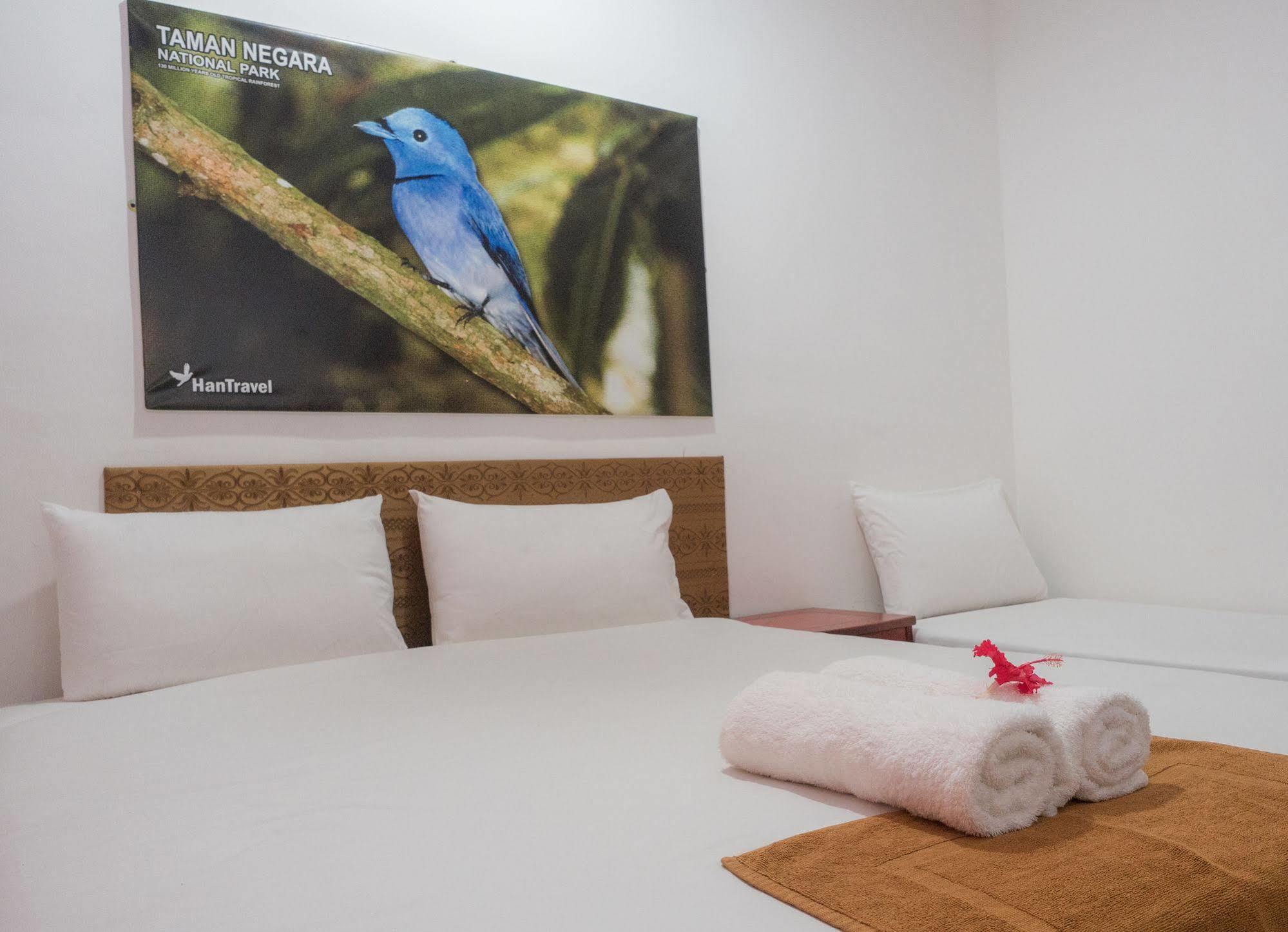Han Rainforest Resort Куала-Тахан Экстерьер фото